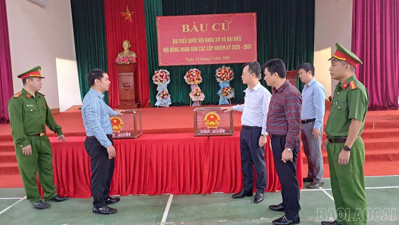baolaocai-br_z7619604089239-8be033338e411486ba5e891dc96d519e.jpg