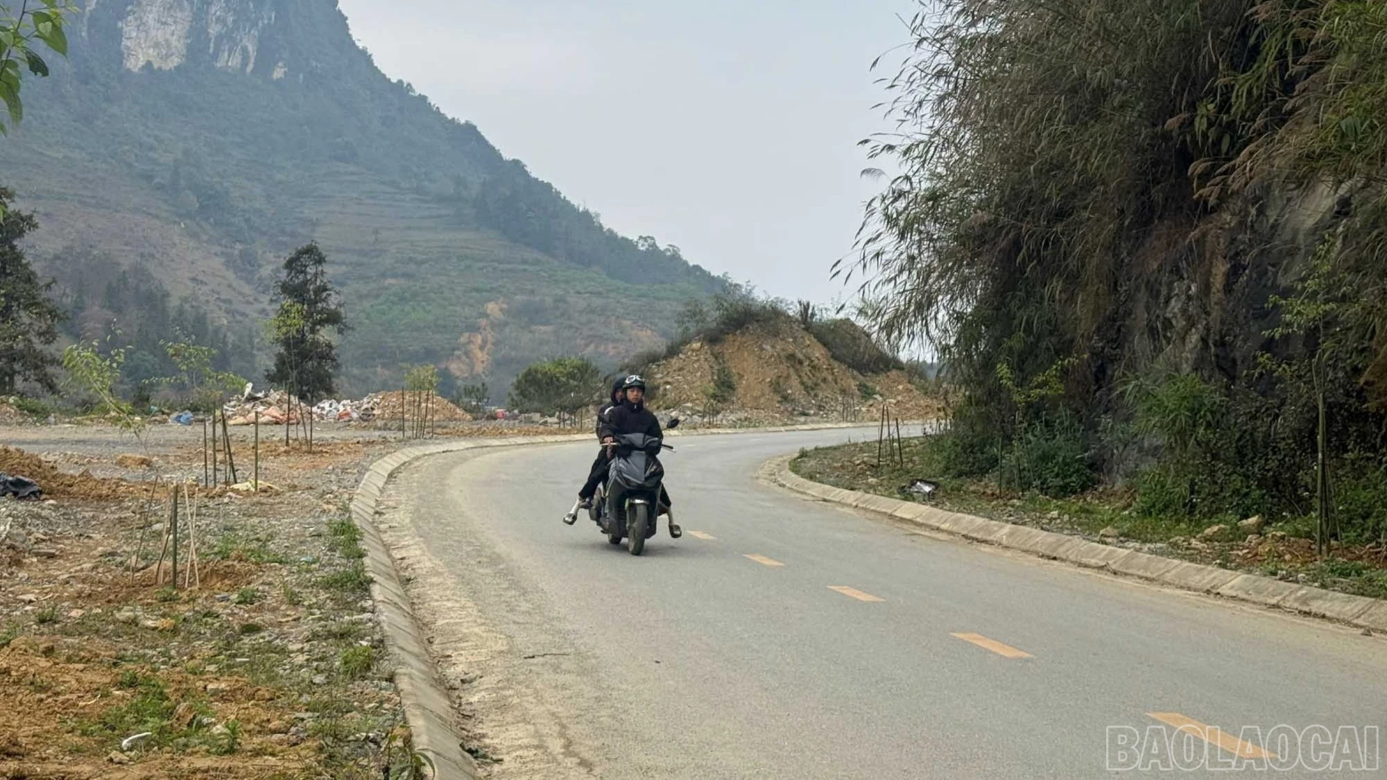 baolaocai-br_a1-9-3098.jpg