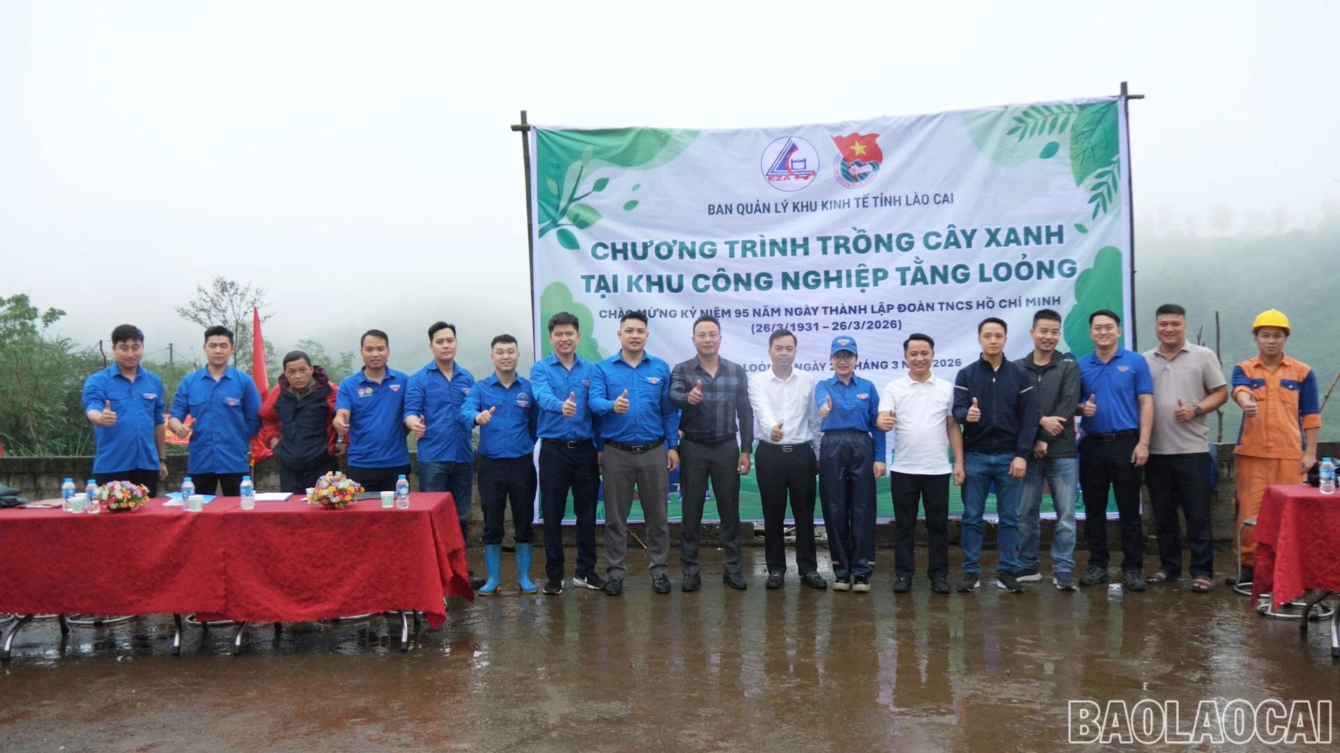 baolaocai-br-trong-cay-cn00-06-5.jpg