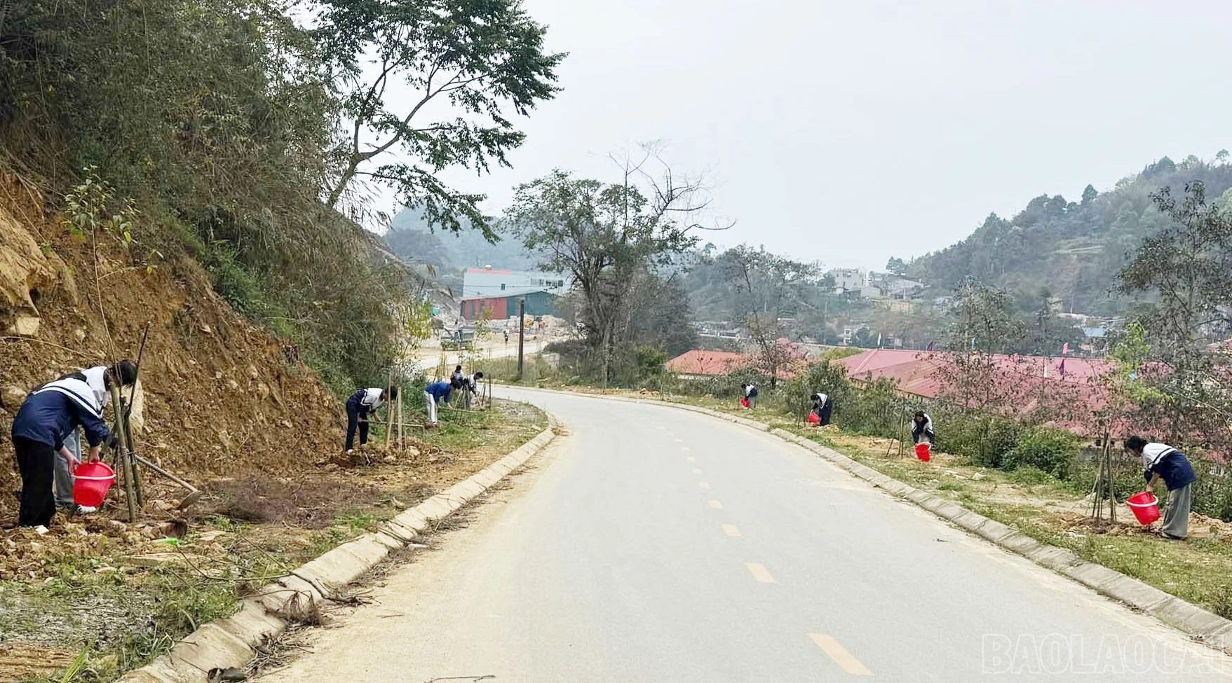 baolaocai-br_a1-4.jpg