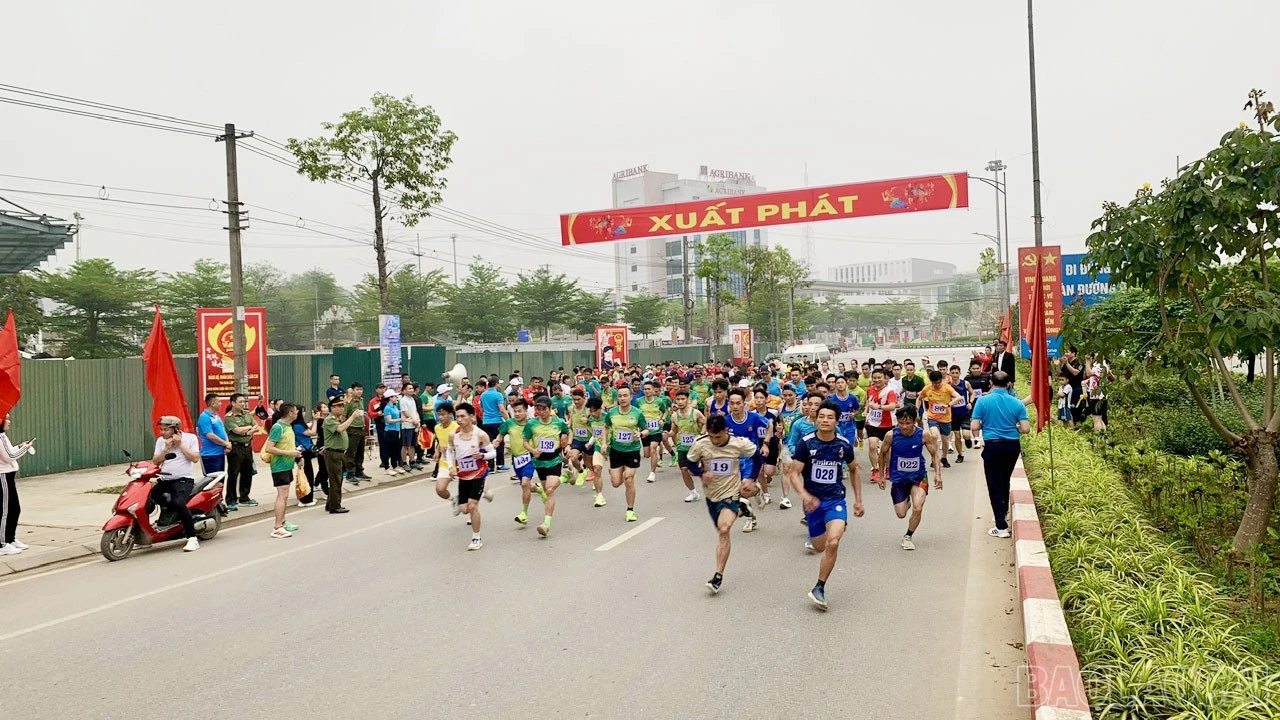baolaocai-br_9.jpg