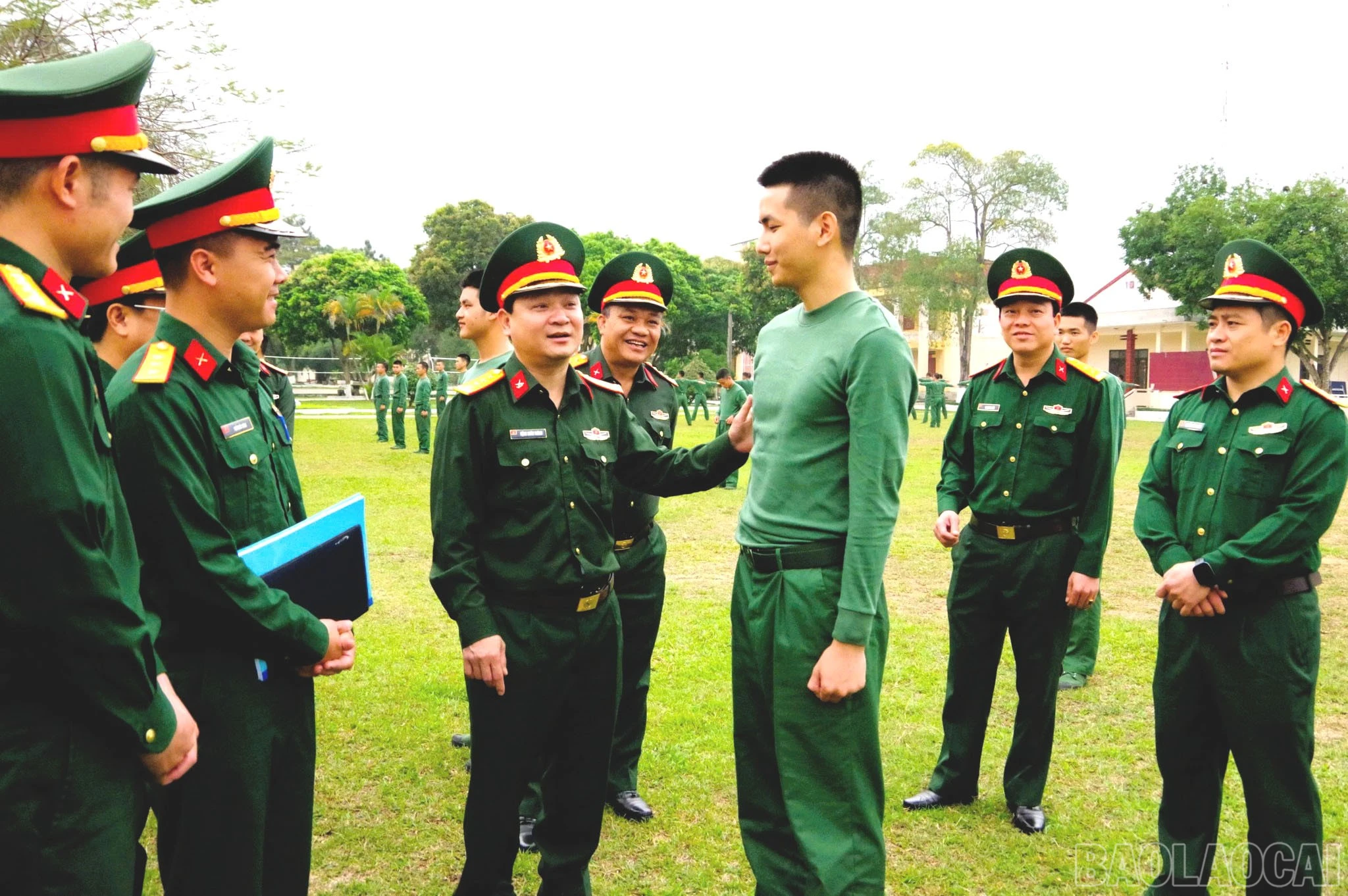 baolaocai-br_a1-25.jpg