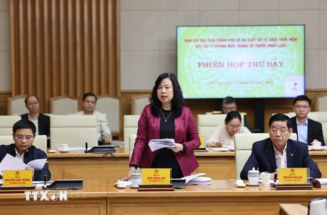 Bộ trưởng Bộ Y tế Đào Hồng Lan phát biểu.