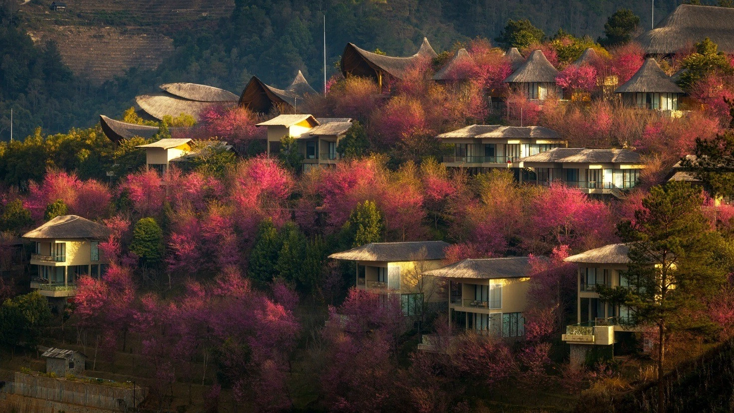 cam-nang-du-lich-mu-cang-chai-mu-2.jpg