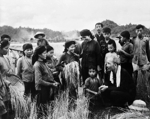 Chủ tịch Hồ Chí Minh thăm nông dân xã Hùng Sơn, huyện Đại Từ, tỉnh Thái Nguyên đang thu hoạch vụ lúa đầu tiên sau cải cách ruộng đất (1954). (Ảnh: TTXVN)