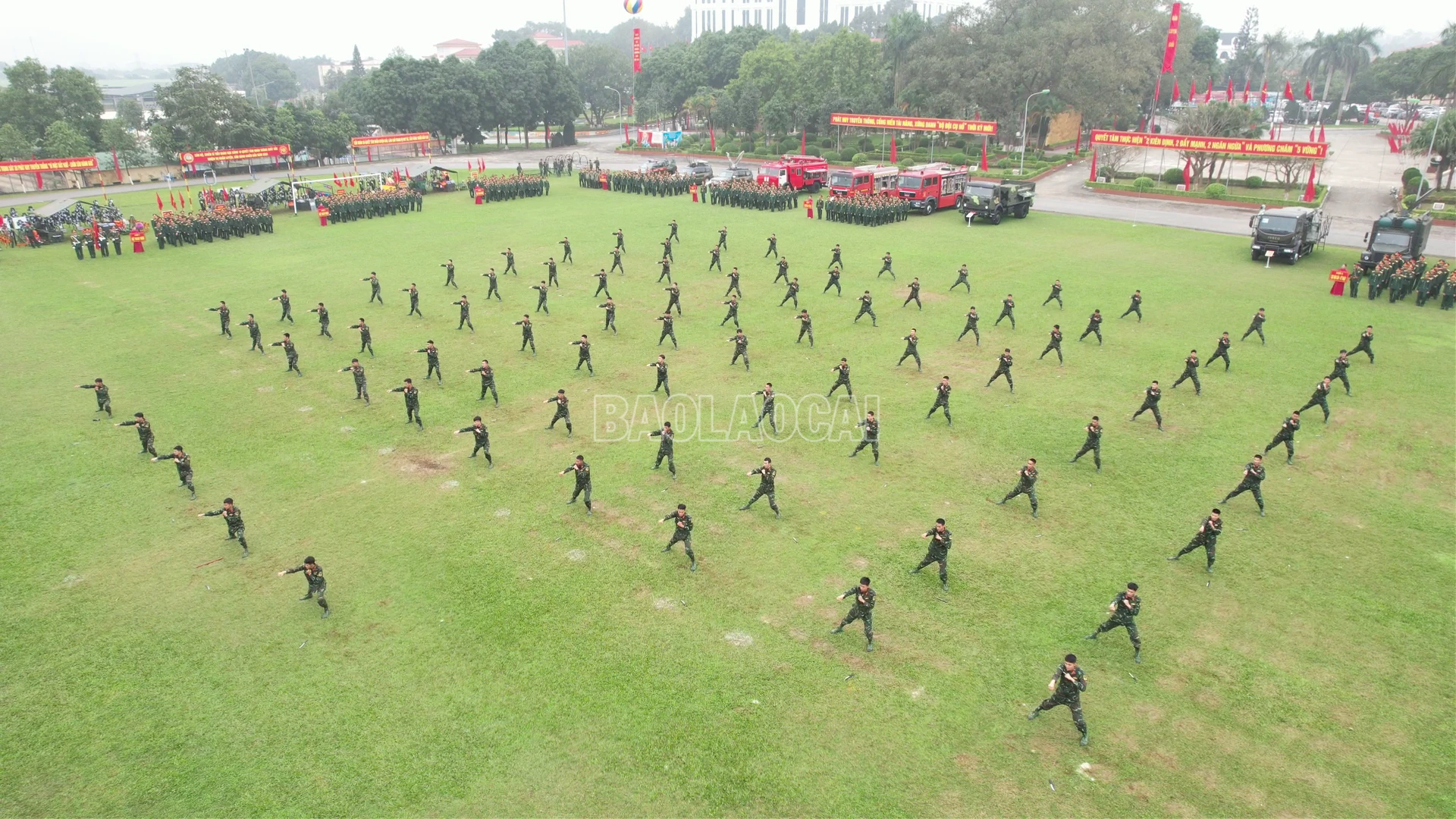 baolaocai-c_anh-qk2-6.png