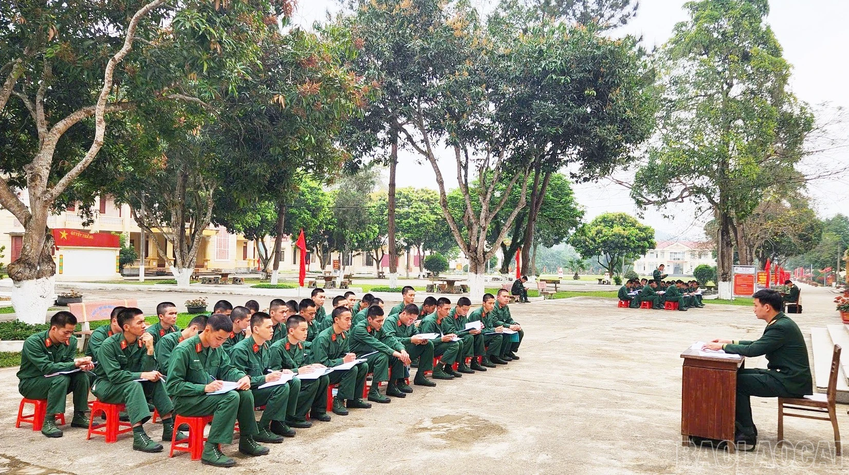 baolaocai-br_image-1774501417302.jpg