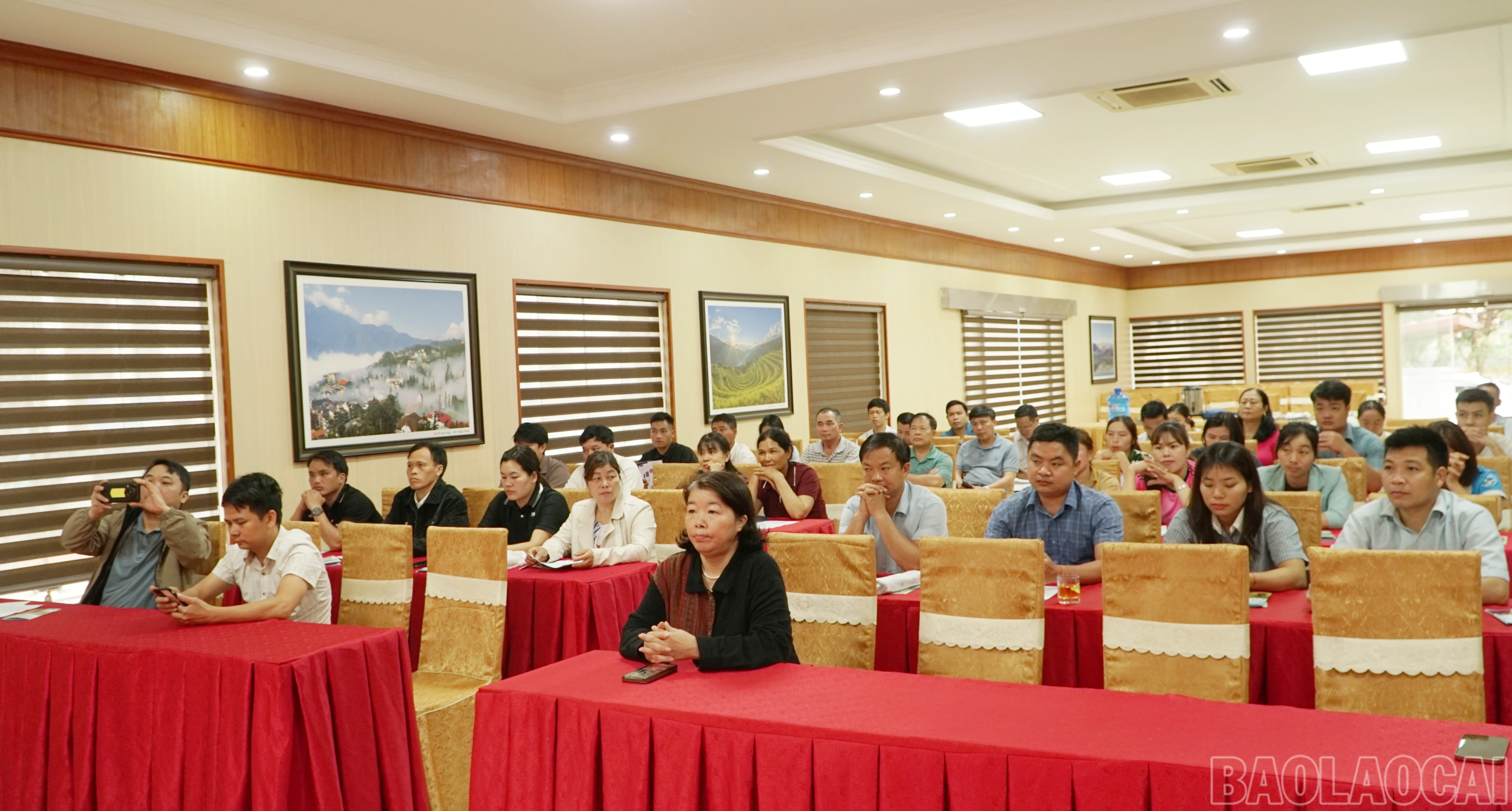 baolaocai-br_br-img-20260326-125022.png