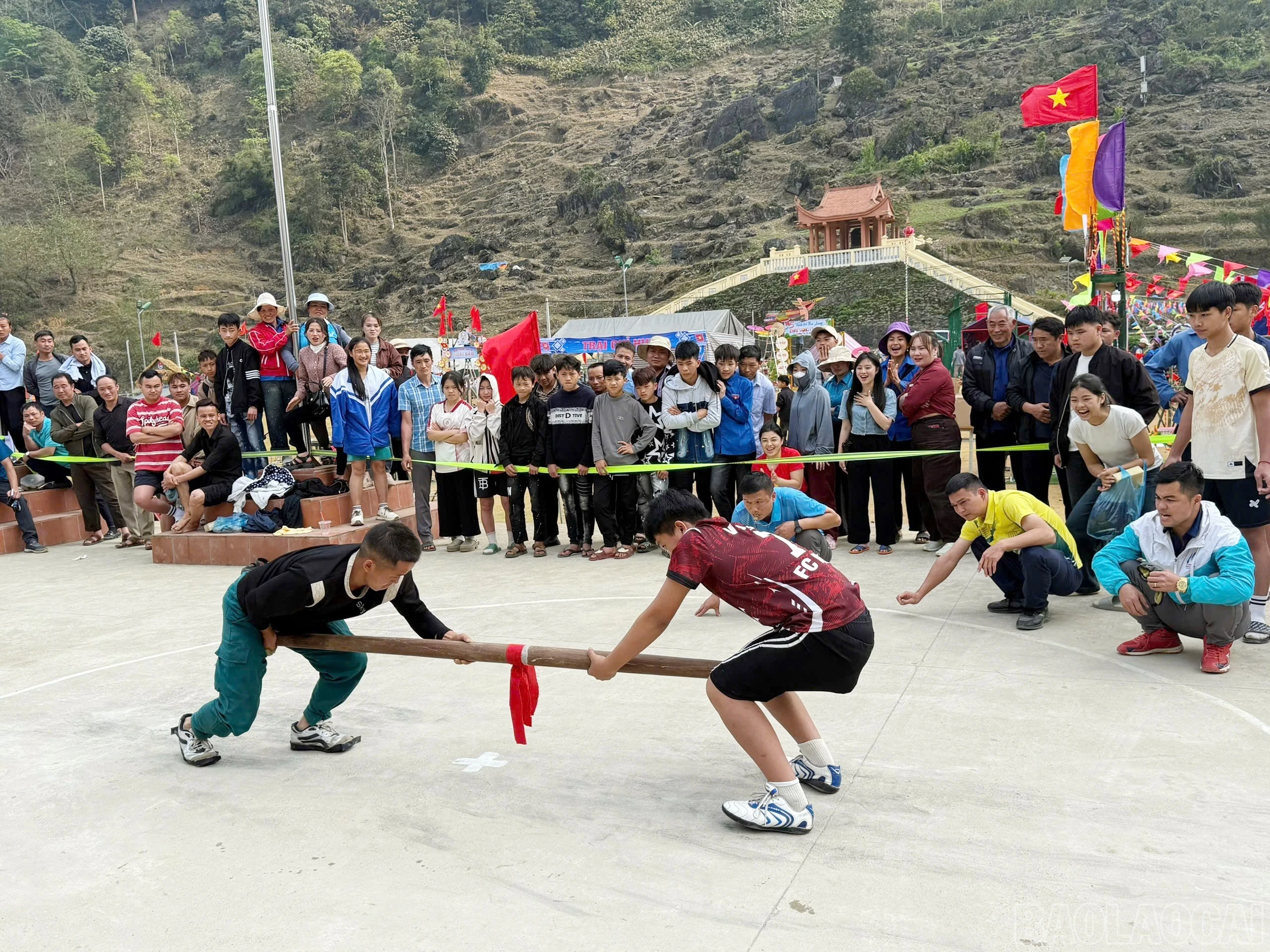 baolaocai-br_image-1774525288966.jpg