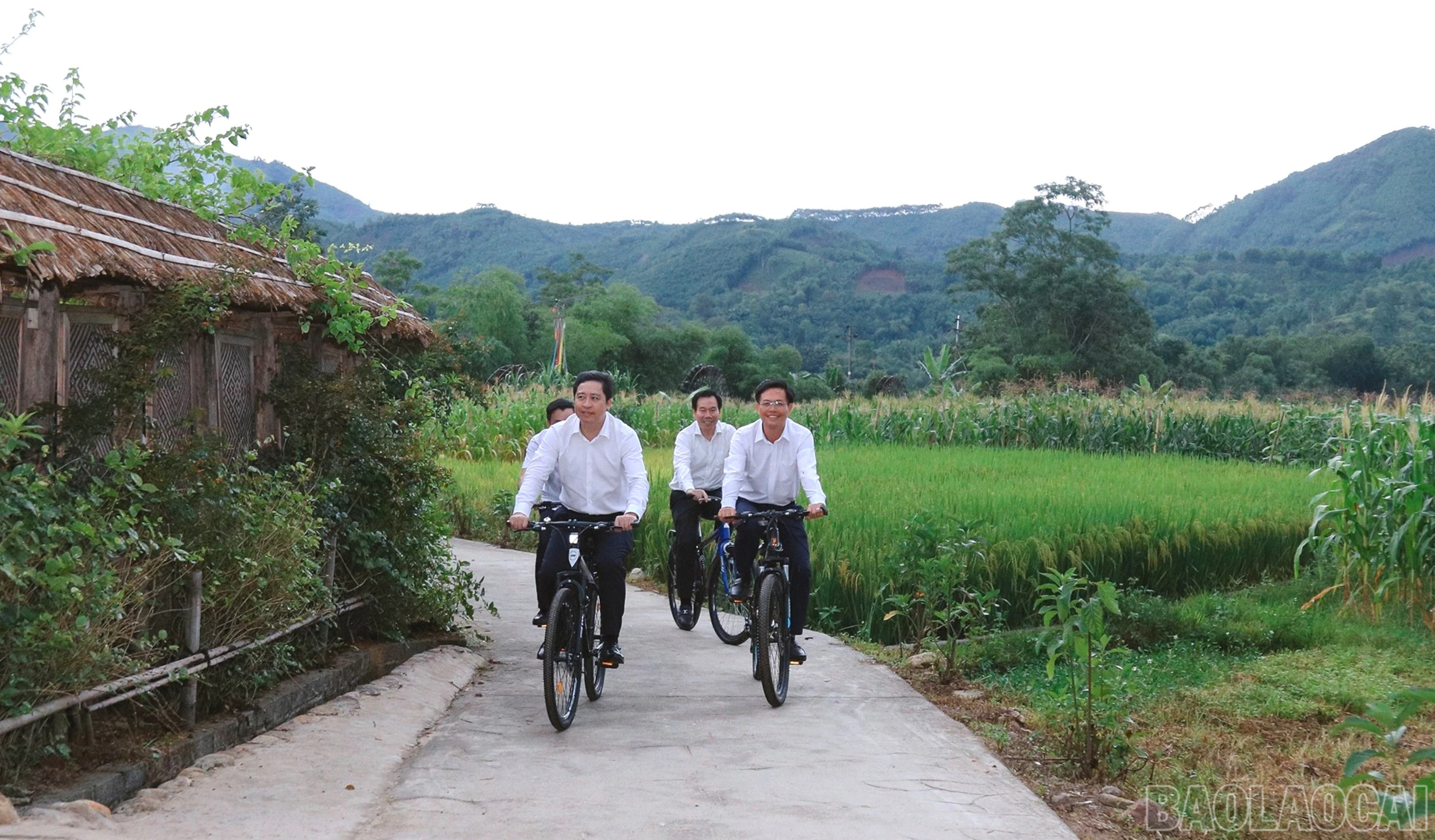 baolaocai-br_br-7j5a3397.jpg