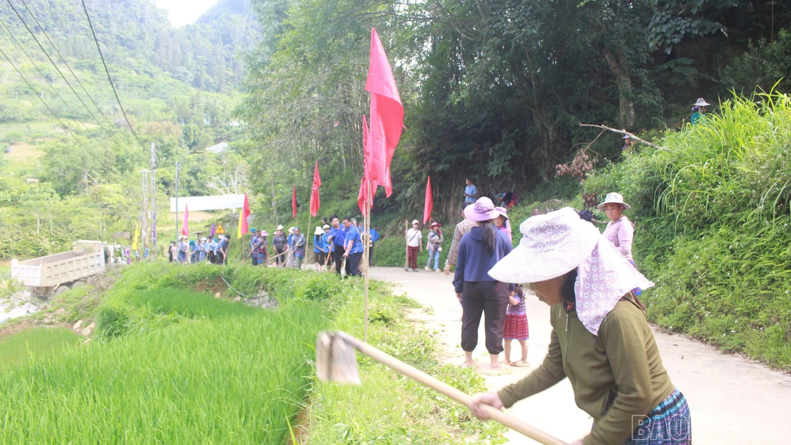 baolaocai-br_z7906221389395-77562b695d4563e559149842515d3098-6317.jpg