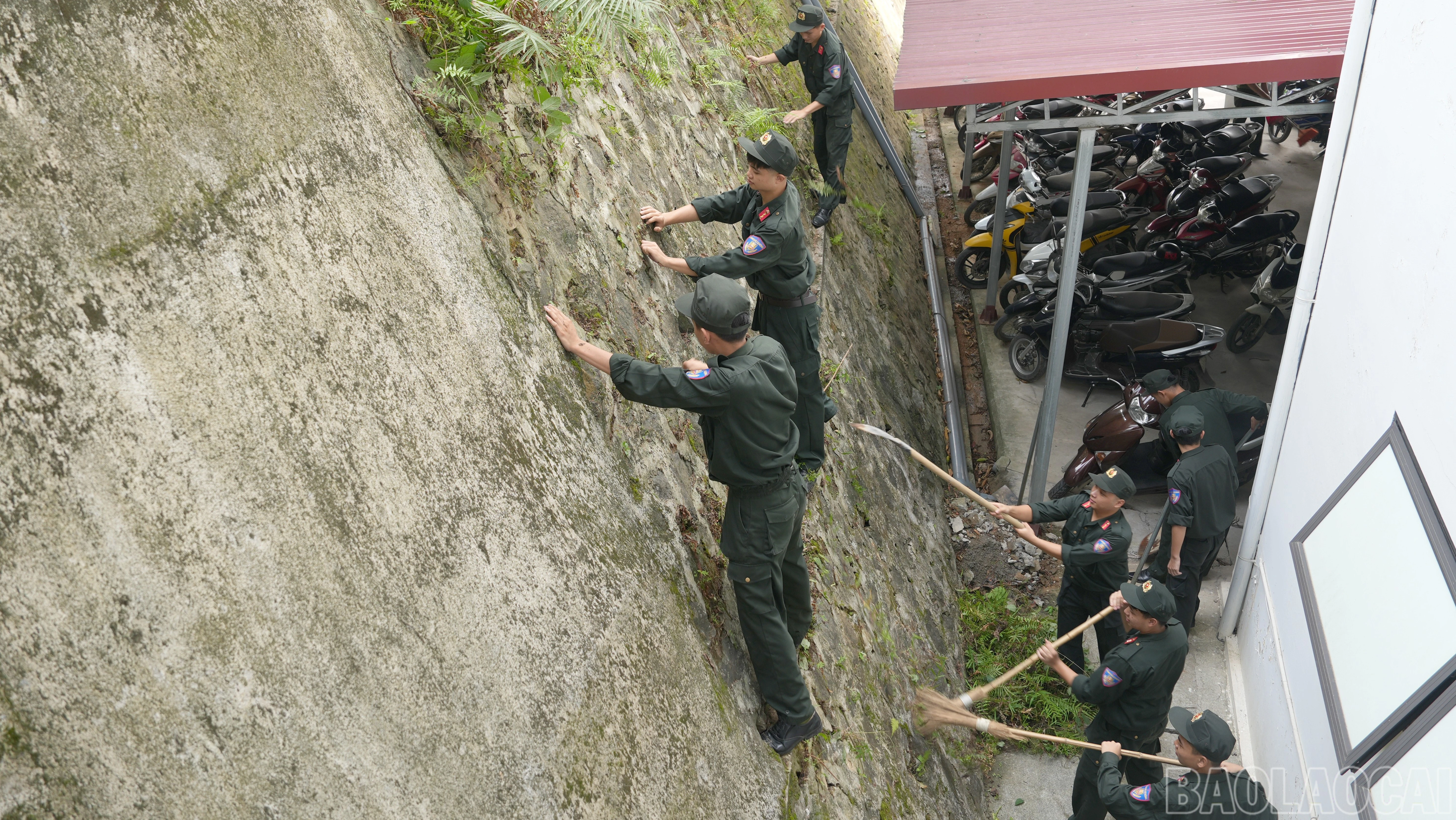 baolaocai-br_anh6-5616.jpg