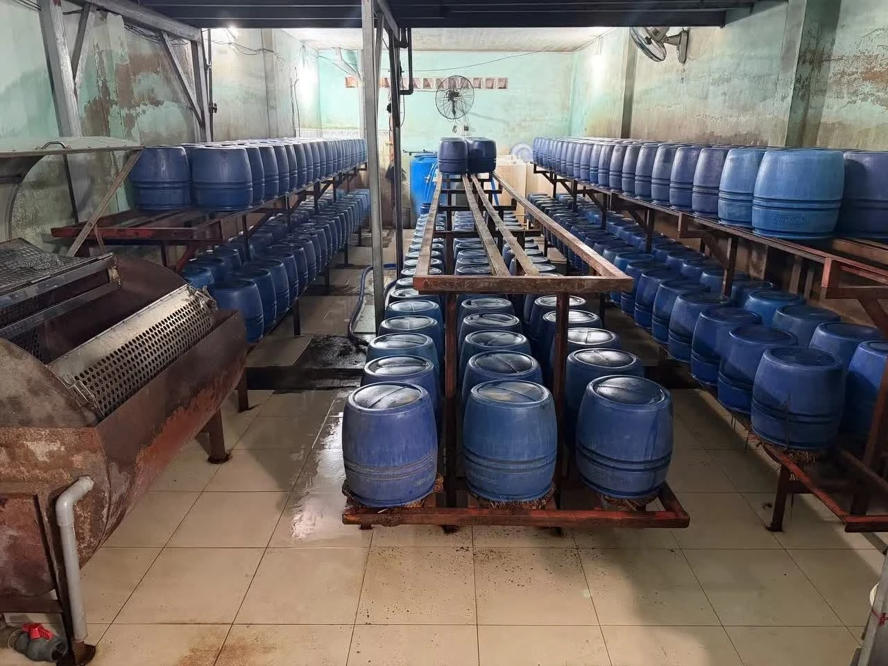 Công an phát hiện hàng trăm lu nhựa chứa giá đỗ, hàng trăm lít dung dịch đã pha chế sẵn (chứa chất 6-Benzylaminopurine) để phục vụ việc sản xuất giá đỗ.