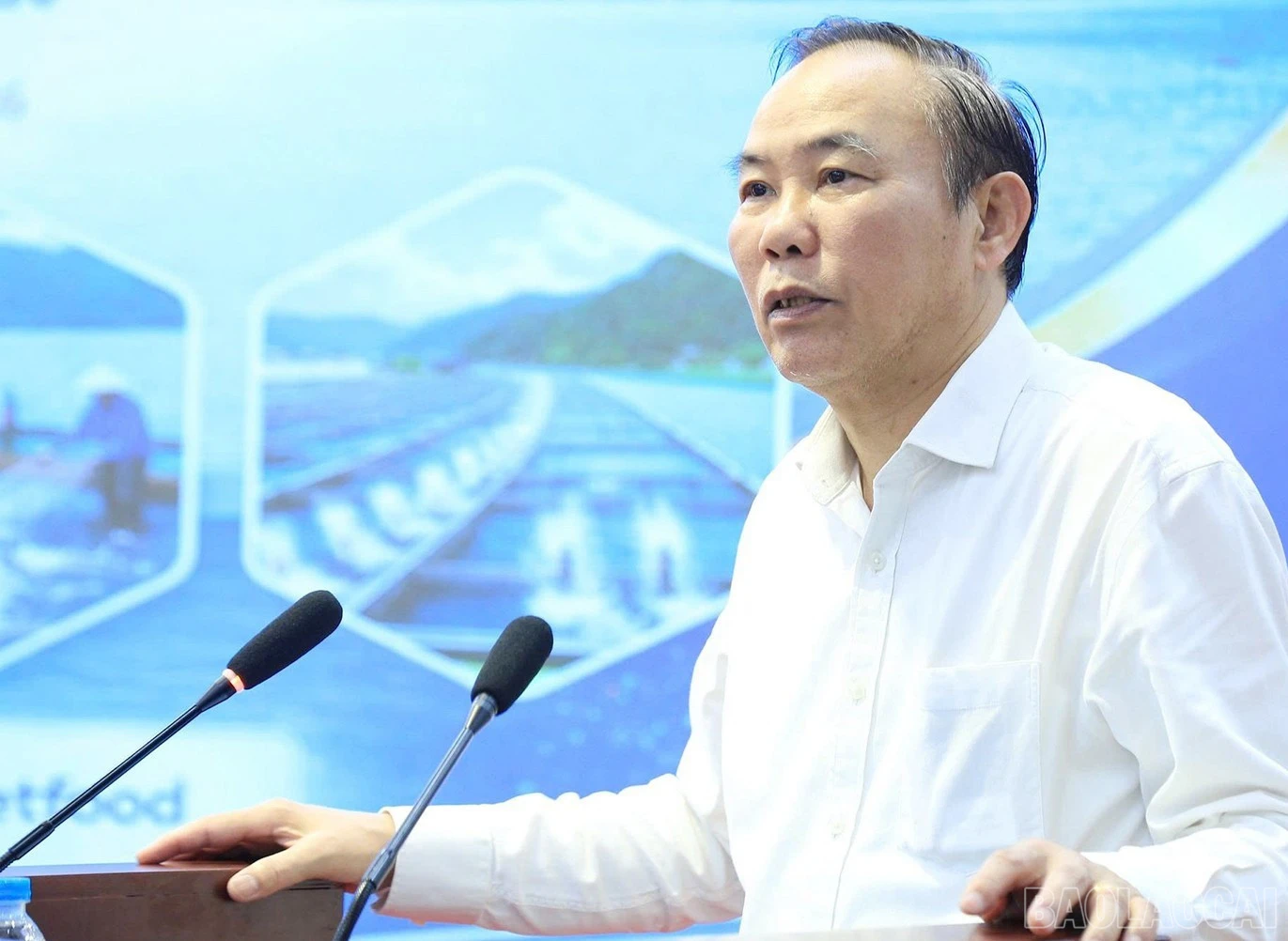 baolaocai-br_image-1775224434625.jpg