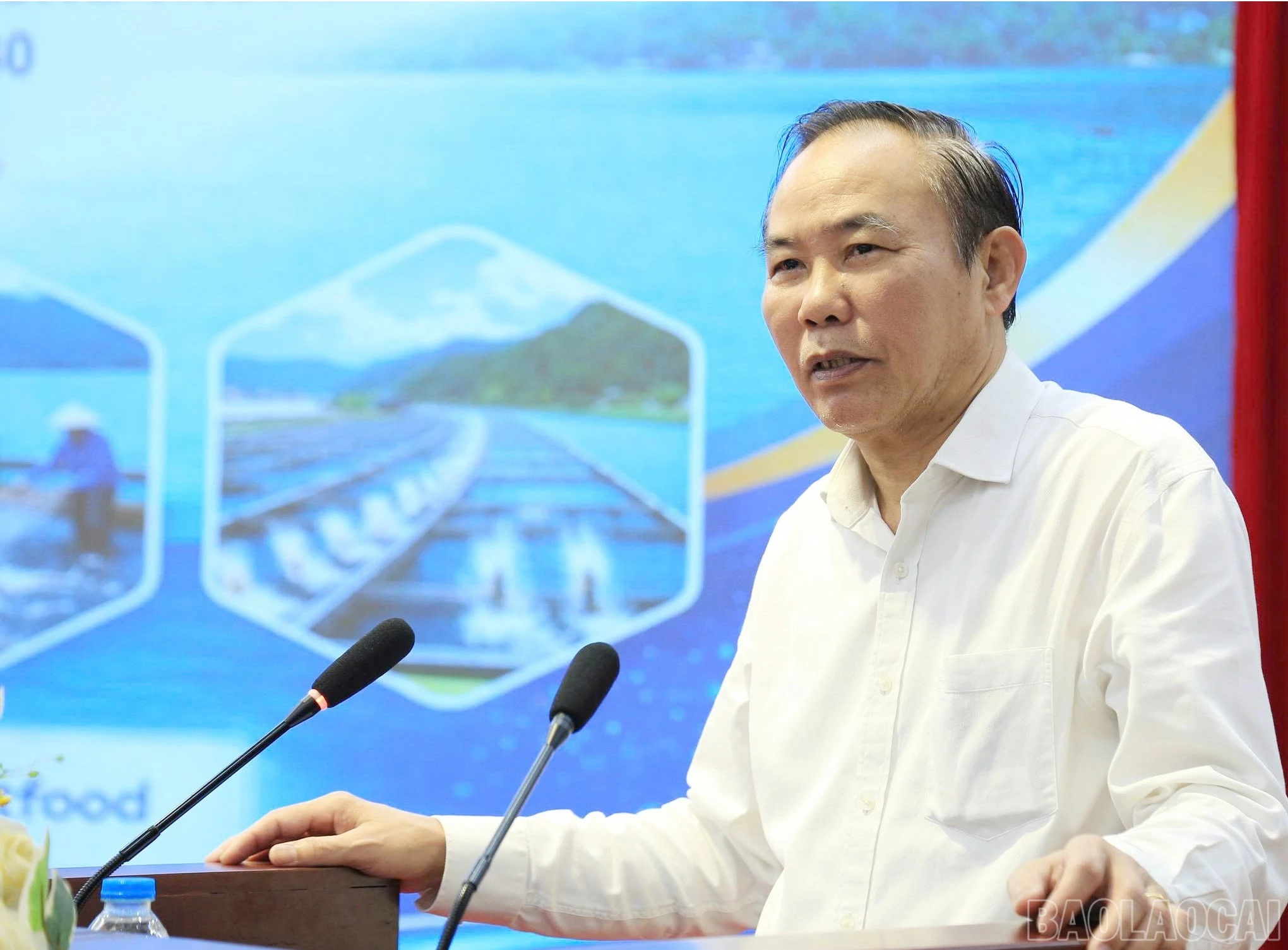 baolaocai-br_image-1775224078144.jpg