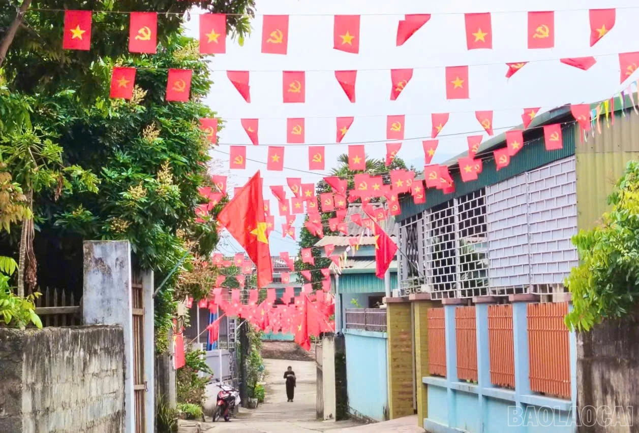baolaocai-br_cac-ngo-xom-ruc-ro-sac-co.jpg
