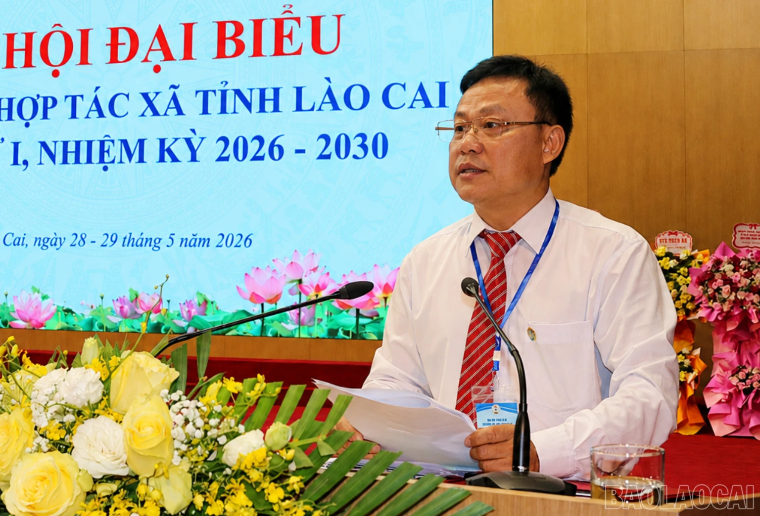 baolaocai-br_br-501f215d-ab80-4d37-b02e-0da12a4769da.png