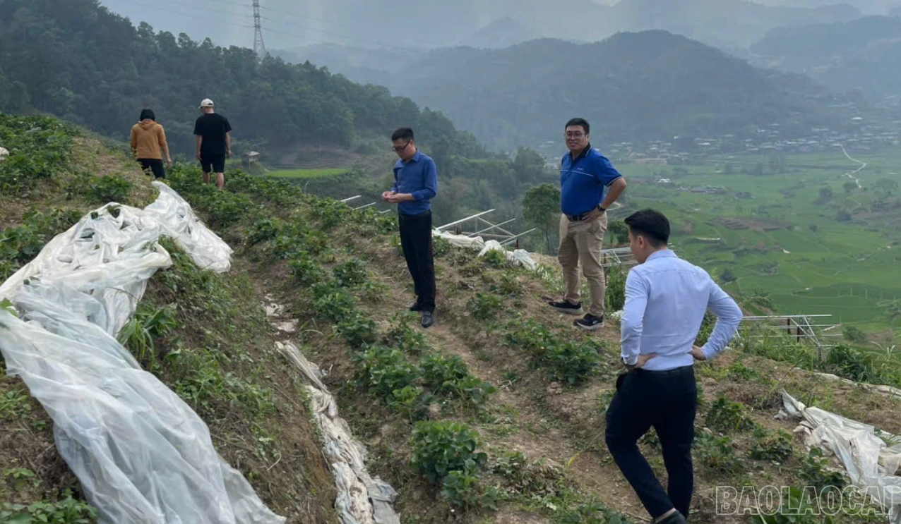 baolaocai-br_z7677242415478-fc7df3ae769d65670821e63936b27ab0-5122.png
