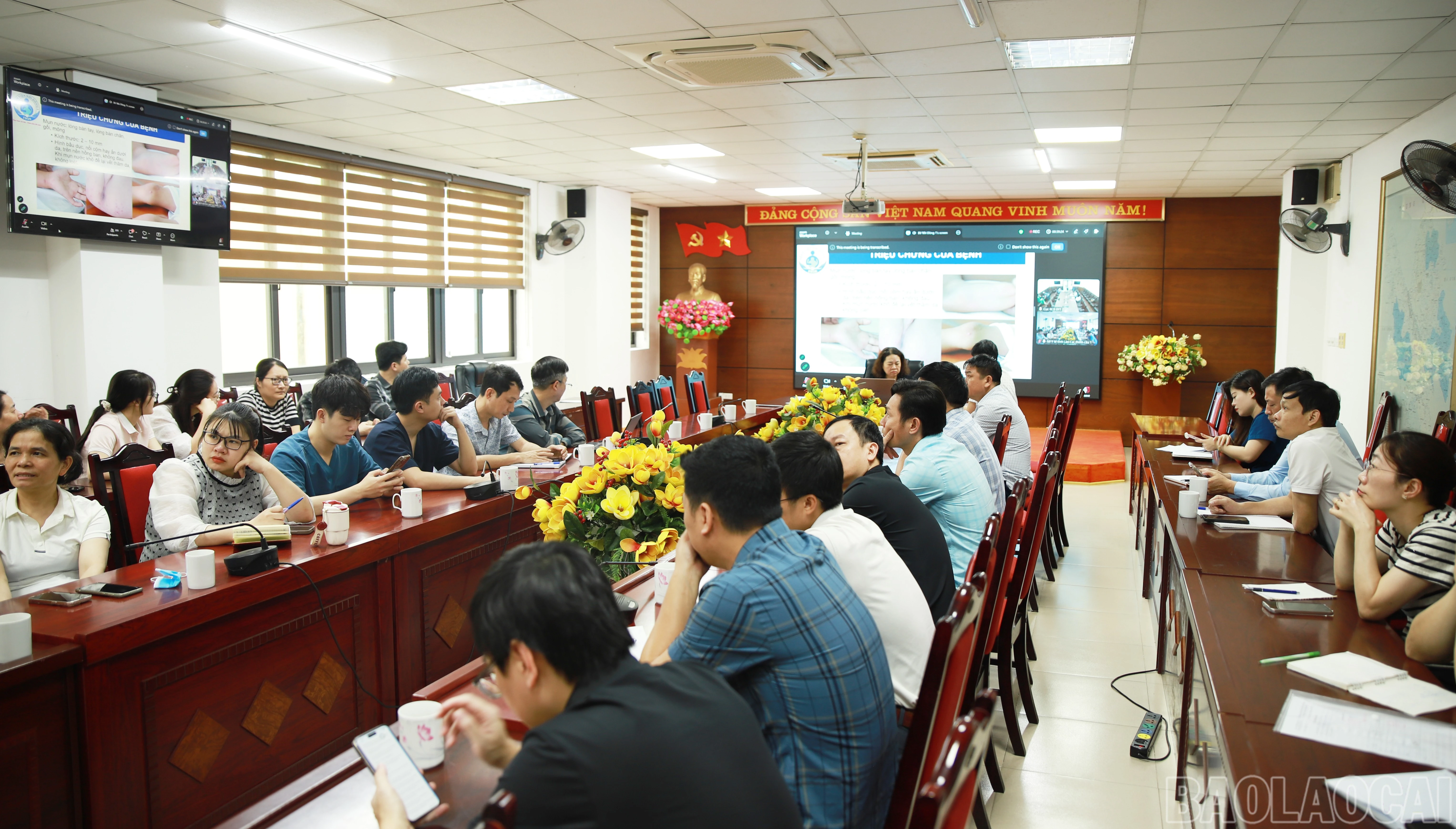 baolaocai-br_1-1.jpg