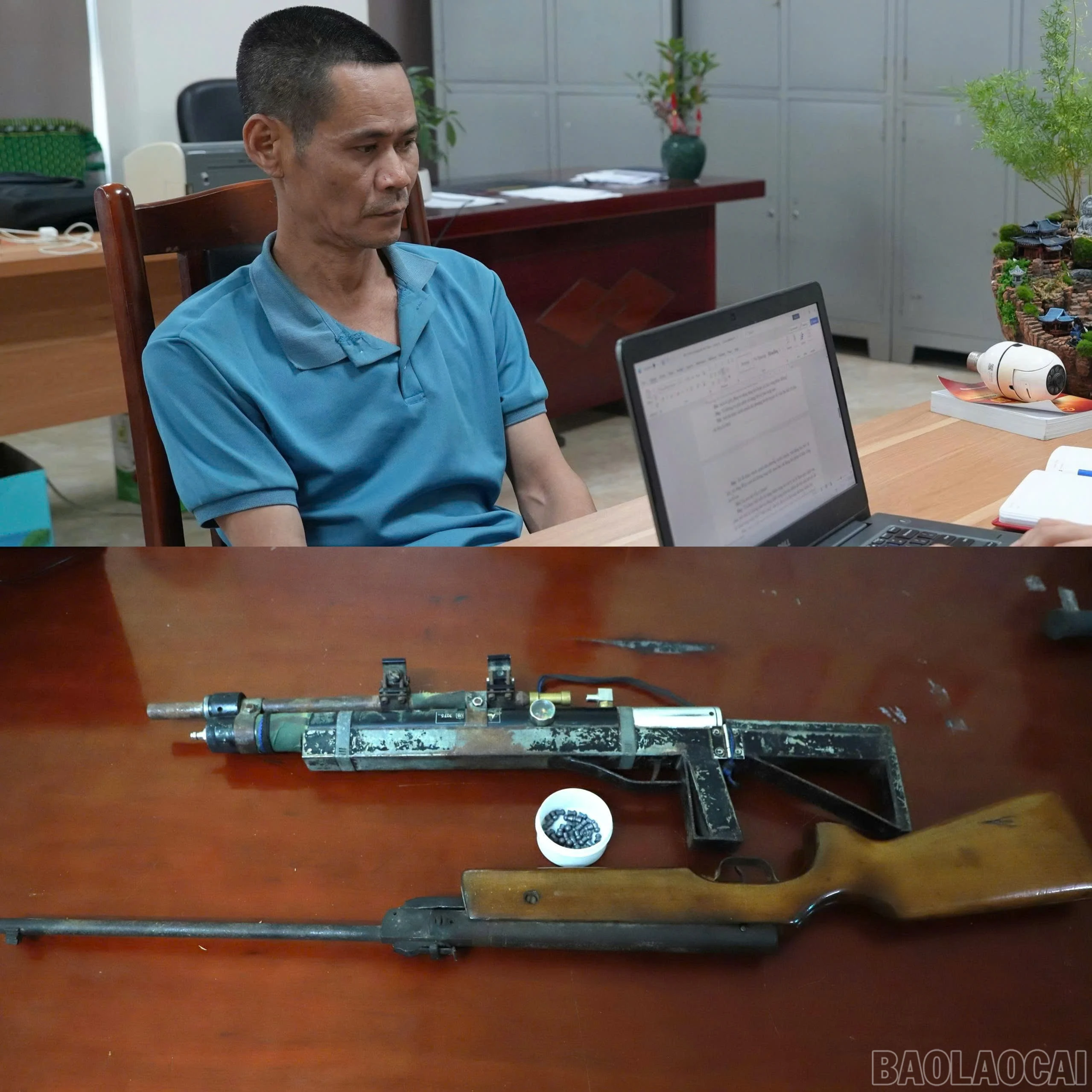 baolaocai-br_anh-1.jpg