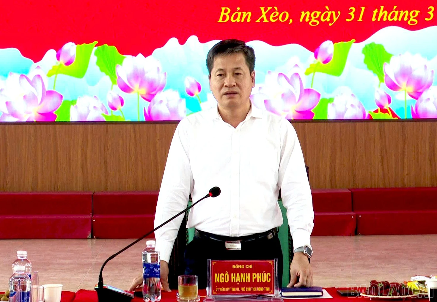 baolaocai-br_6.jpg