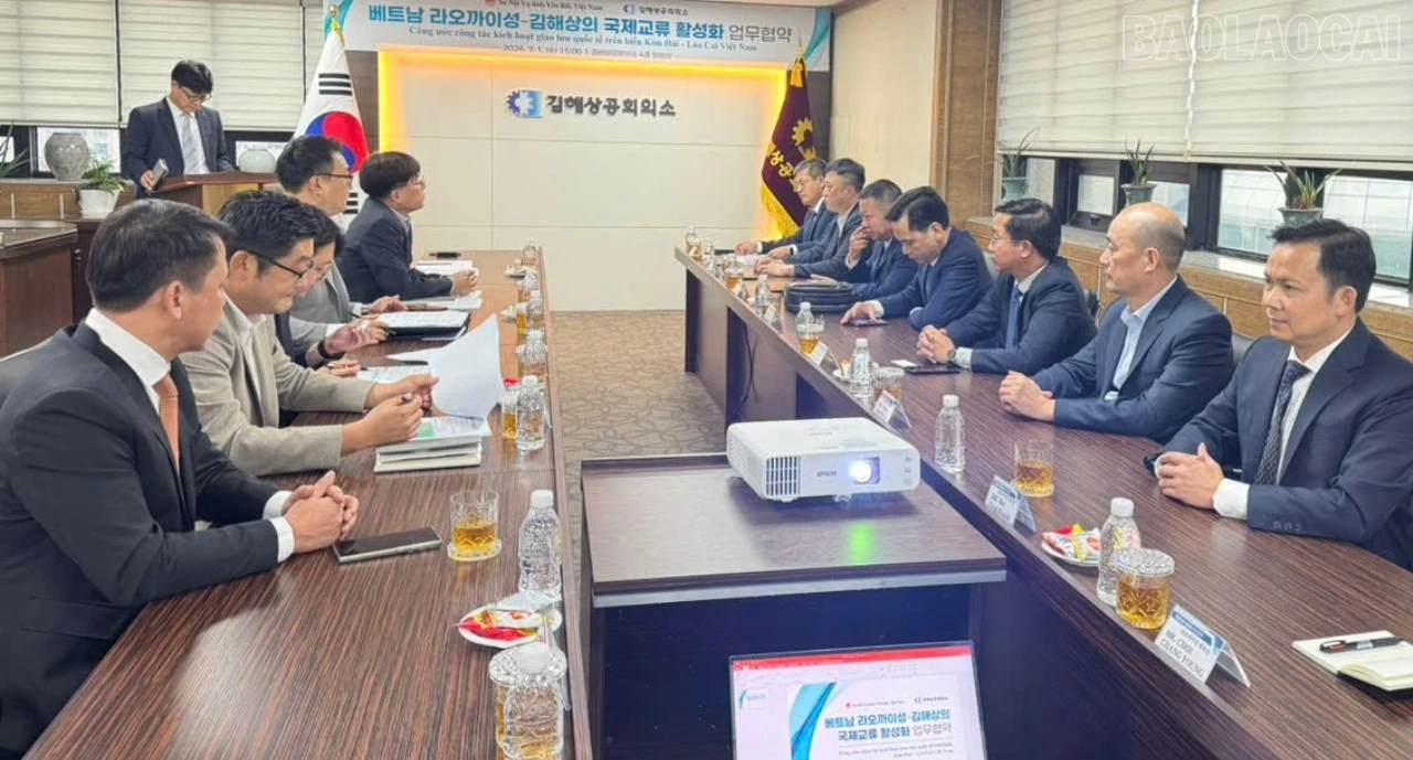 baolaocai-tr_tr-z7995564424411-27ed0f5f6692aaffbca653aca55b556f-6512.jpg