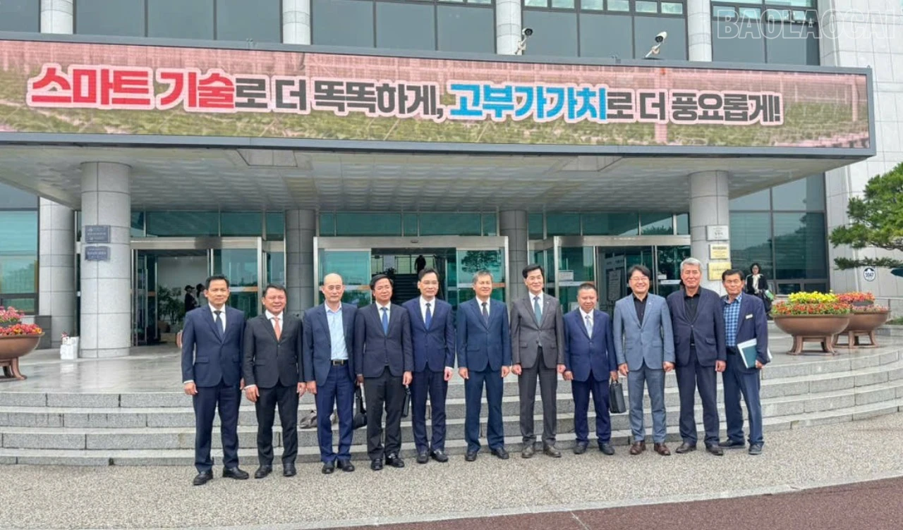 baolaocai-tr_z7995275049827-3392493522311eb6a2725c35cbb1f337-6130.jpg