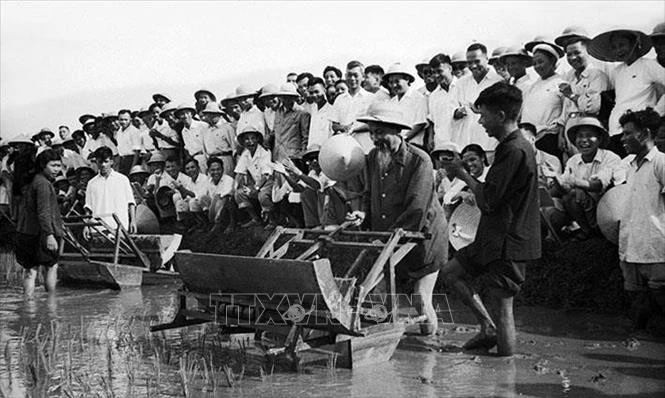 Chủ tịch Hồ Chí Minh đến thăm Sở Nông Lâm Hà Nội và sử dụng thử chiếc máy cấy tại ruộng thí nghiệm của Sở (7/1960).