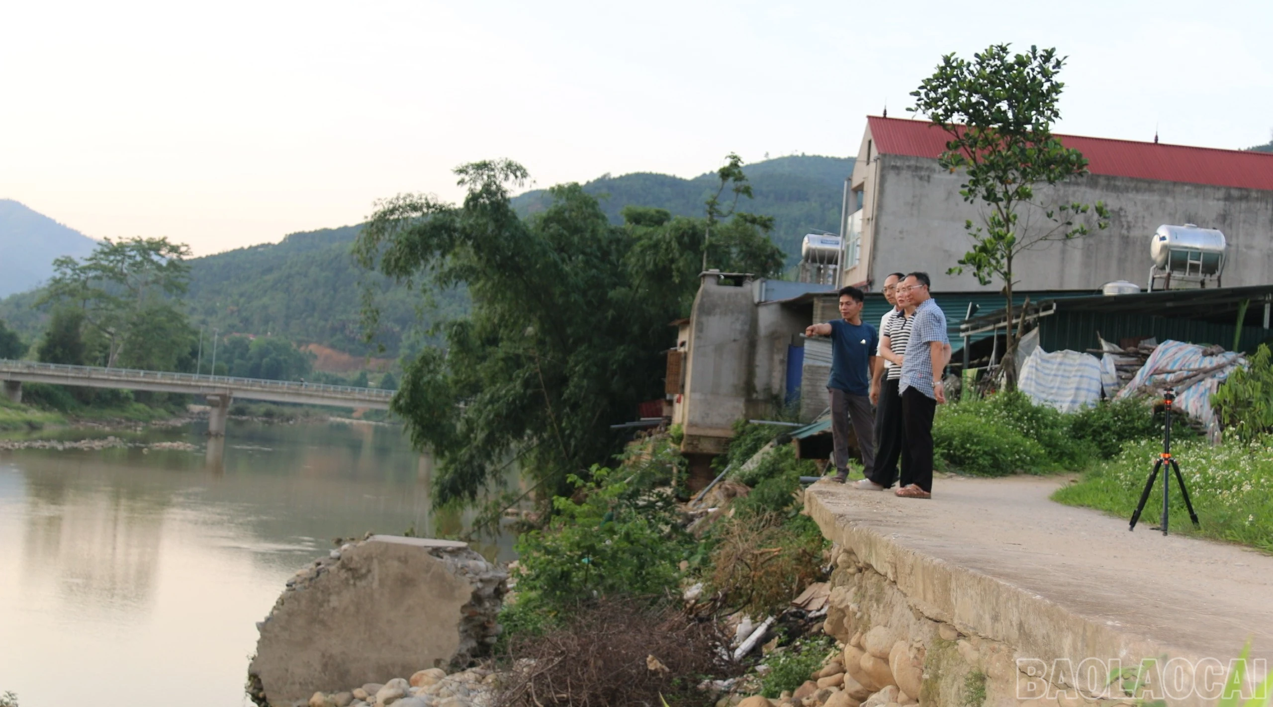 baolaocai-br_br-z7831392855631-05878b290d1947d5fd69cccd7046f128-3293.jpg