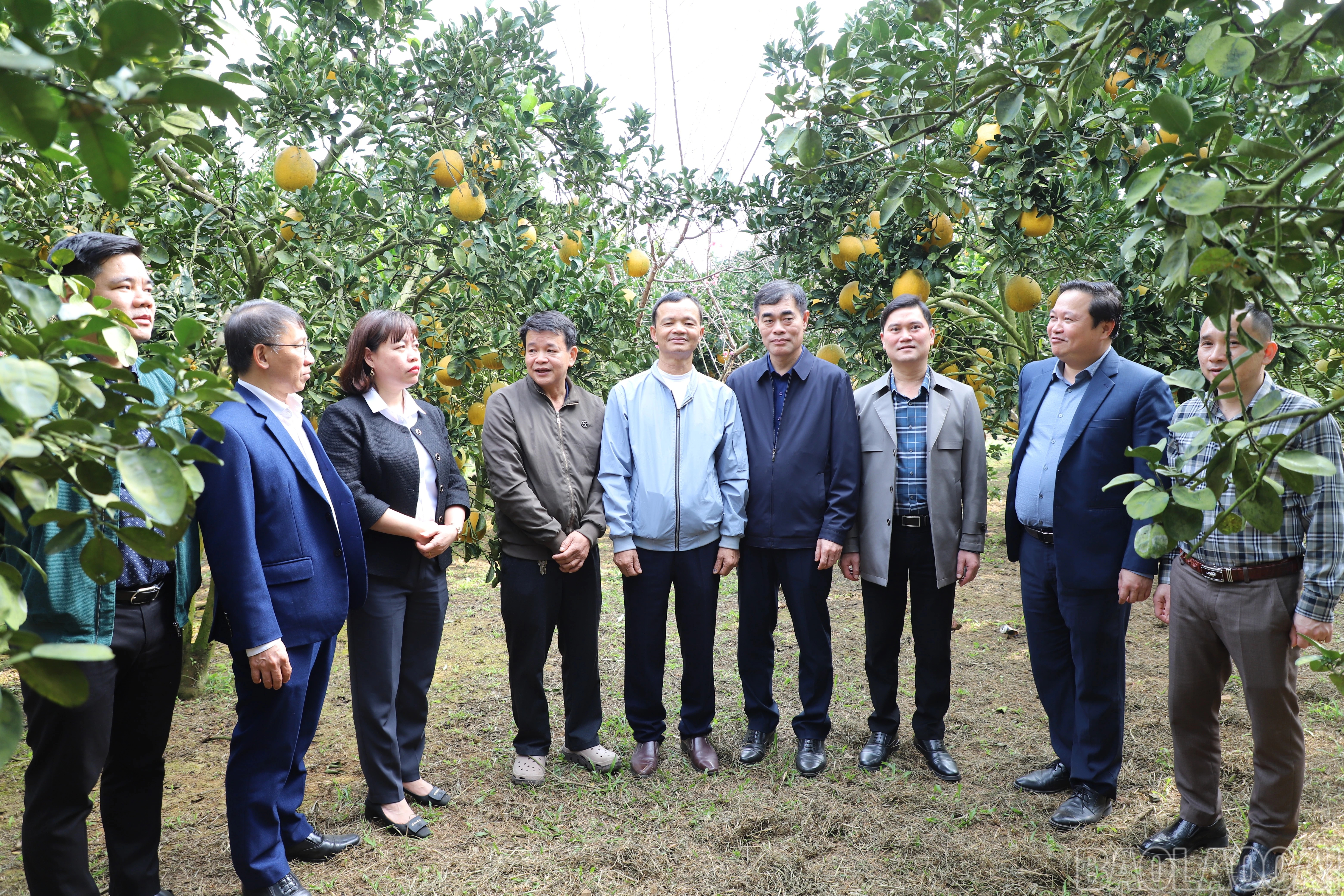 baolaocai-br_doan-cong-tac-tham-mo-hinh-trong-buoi-cua-ho-ong-nguyen-van-luong-tdp-18-phuong-trung-tam.jpg