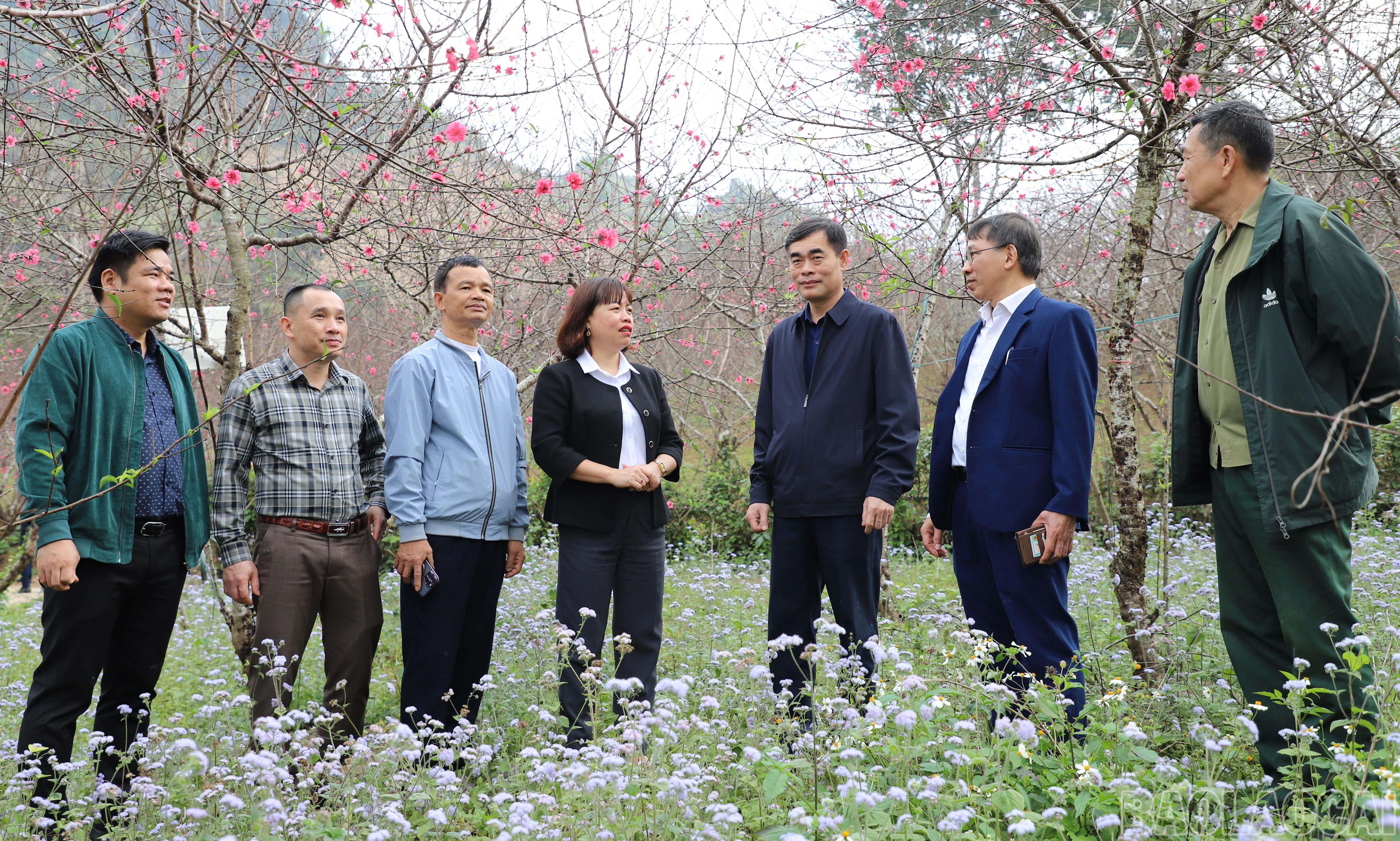 baolaocai-br_kiem-tra-mo-hinh-trong-dao-cua-ho-ong-nguyen-van-kien-mo-hinh-cho-thu-nhap-cao-tao-viec-lam-cho-lao-dong-dia-phuong.jpg