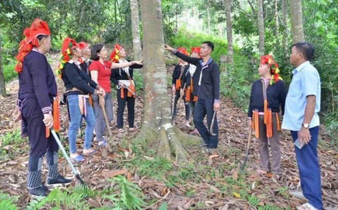 Những hạt nhân tiêu biểu trong cộng đồng các dân tộc Yên Bái ảnh 1