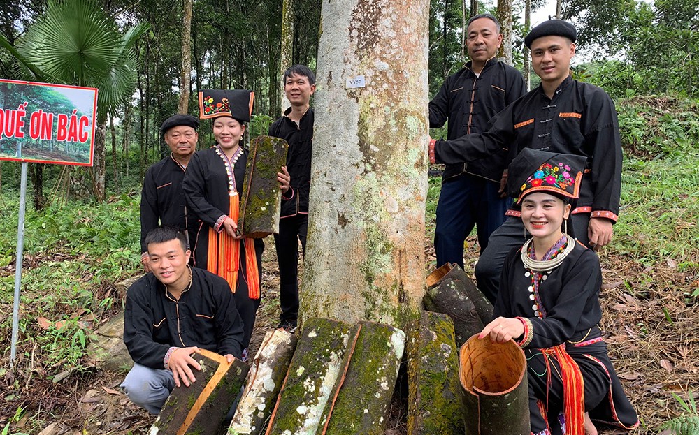 Phát huy vai trò của đồng bào dân tộc thiểu số, chung sức, đồng lòng xây dựng tỉnh Yên Bái phát triển nhanh, bền vững theo hướng “Xanh, hài hòa, bản sắc và hạnh phúc” ảnh 1