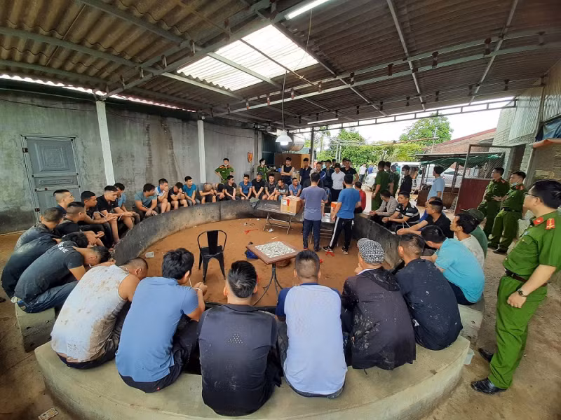 Đột kích trang trại, phát hiện hơn 40 đối tượng tụ tập đá gà ăn tiền -0