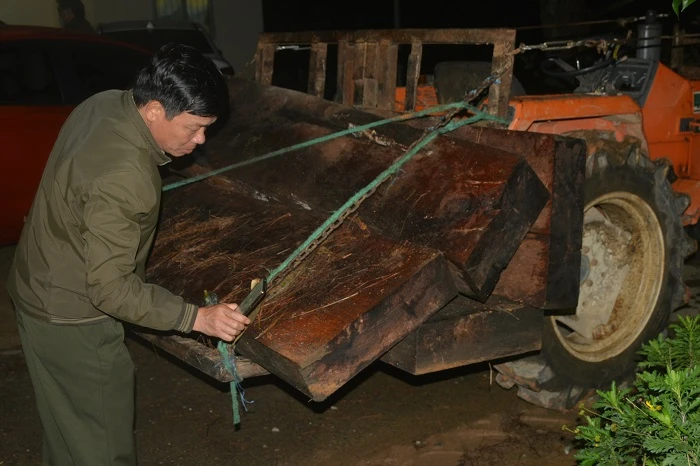 Kiểm lâm vây bắt lâm tặc lúc rạng sáng -0