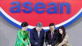 Tổng Bí thư Tô Lâm dự Lễ kỷ niệm 30 năm Việt Nam gia nhập ASEAN