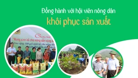 Đồng hành với hội viên nông dân khôi phục sản xuất