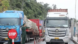 Tạm dừng áp dụng Nghị định số 46 về an toàn thực phẩm đến hết ngày 15/4/2026