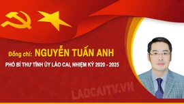 [Infographic] Tóm tắt tiểu sử đồng chí Nguyễn Tuấn Anh, Phó Bí thư Tỉnh ủy