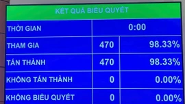 Quốc hội thông qua Nghị quyết sửa đổi, bổ sung Hiến pháp 2013