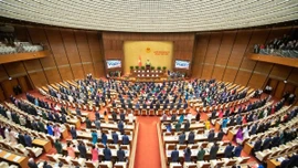 Đại biểu Quốc hội: Bức tranh hàng giả đủ gam màu ghê sợ, người dùng thông thái cũng lạc lối