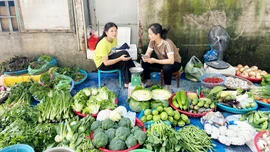 “Tránh" thuế bằng giao dịch tiền mặt - cần hiểu đúng để không gặp rủi ro pháp lý