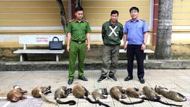 Hệ lụy từ buôn bán động vật hoang dã trái phép