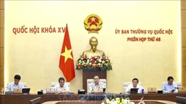 Sửa Luật Quy hoạch để các địa phương thực hiện chính quyền 2 cấp