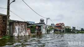 Bộ trưởng Bộ Giáo dục và Đào tạo gửi Công điện về chủ động ứng phó mưa lũ, sẵn sàng chuẩn bị cho các kỳ thi