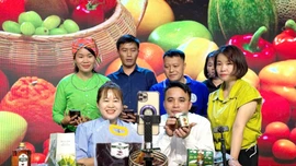 Tập huấn nâng cao kỹ năng kinh doanh trên nền tảng số cho hội viên nông dân