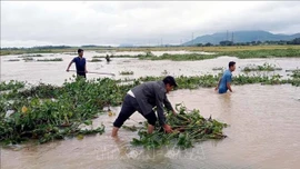 Mưa lớn gây nhiều thiệt hại tại các địa phương