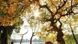 Thời tiết hôm nay (5/5): Bắc Bộ nhiều nơi nắng nóng, chiều tối và đêm có mưa rào