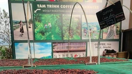 4 tháng đầu năm 2025: Xuất khẩu nông, lâm, thuỷ sản đạt 21,15 tỷ USD