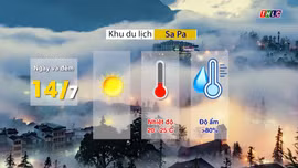 Dự báo thời tiết ngày 14/7